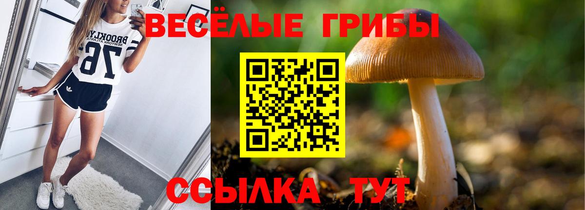 Псилоцибиновые грибы GOLDEN TEACHER  дарнет шоп  Ачхой-Мартан  Вход с VPN 